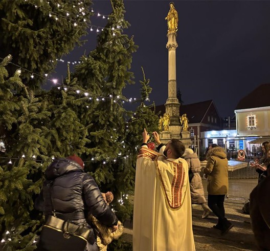 Mladi Zagrebačke nadbiskupije okitili bor ispred katedrale